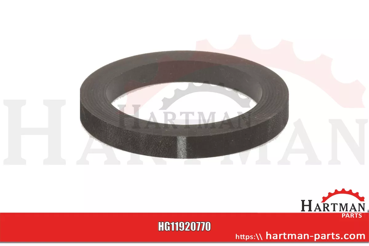 Uszczelka do przyłącza kołnierzowego 2″ 04001355