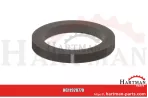 Uszczelka do przyłącza kołnierzowego 2″ 04001355
