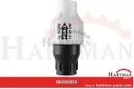 Druckregler, 3/4" IG PSR2103F3F, 204102010