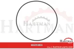 O-Ring 4" GUOR7805B051