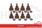 VPE 8 Injektordüse HDRX-A Braun HDRX-A120-05, 7368167