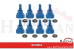 VPE 8 Injektordüse HDRX-R Blau HDRX-R120-03, 7368155