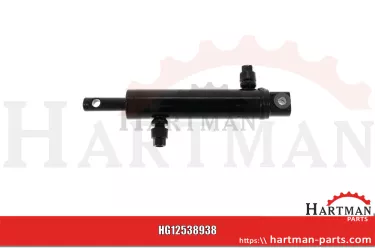 Hydraulikzylinder 938677