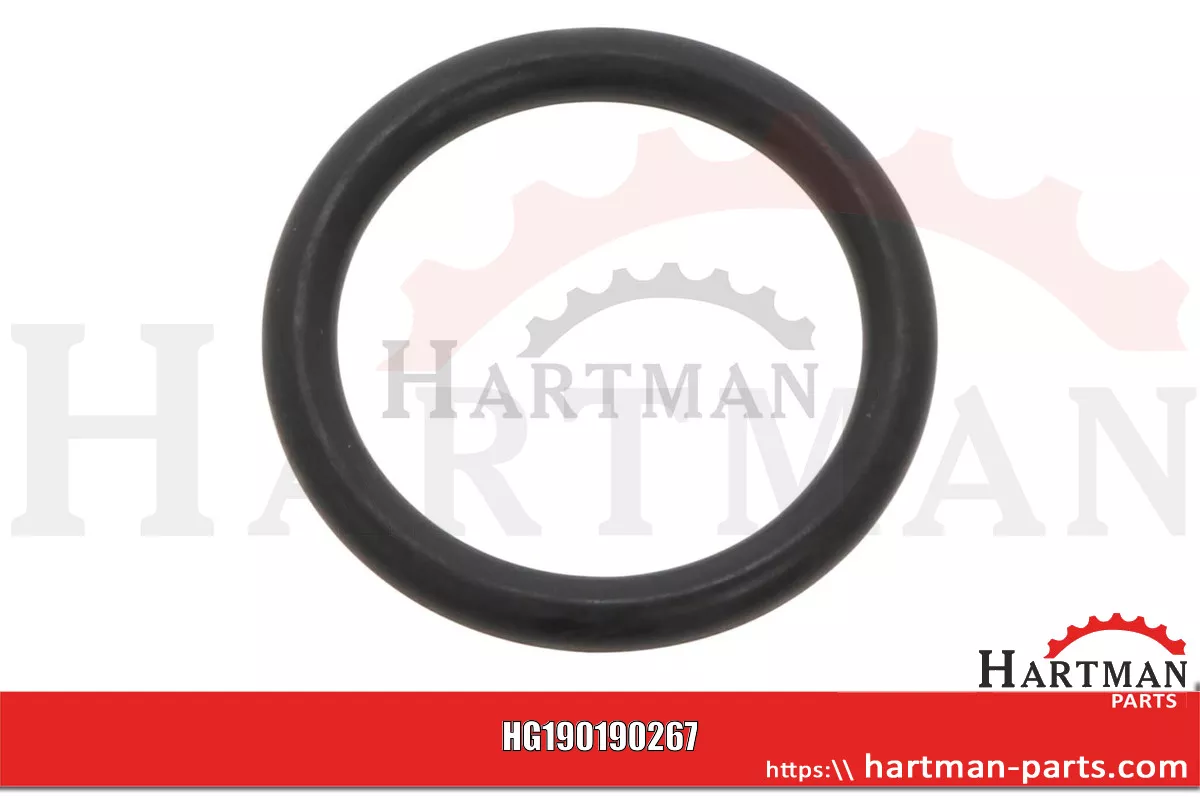 Oring Z63694