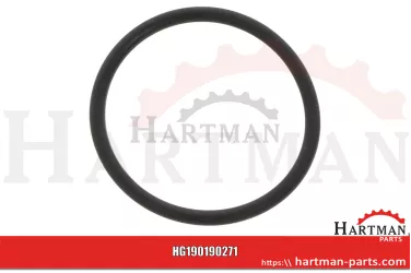 Oring R31378