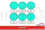 Membransatz GREENTECH KIT 672