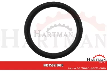 Oring 0273600
