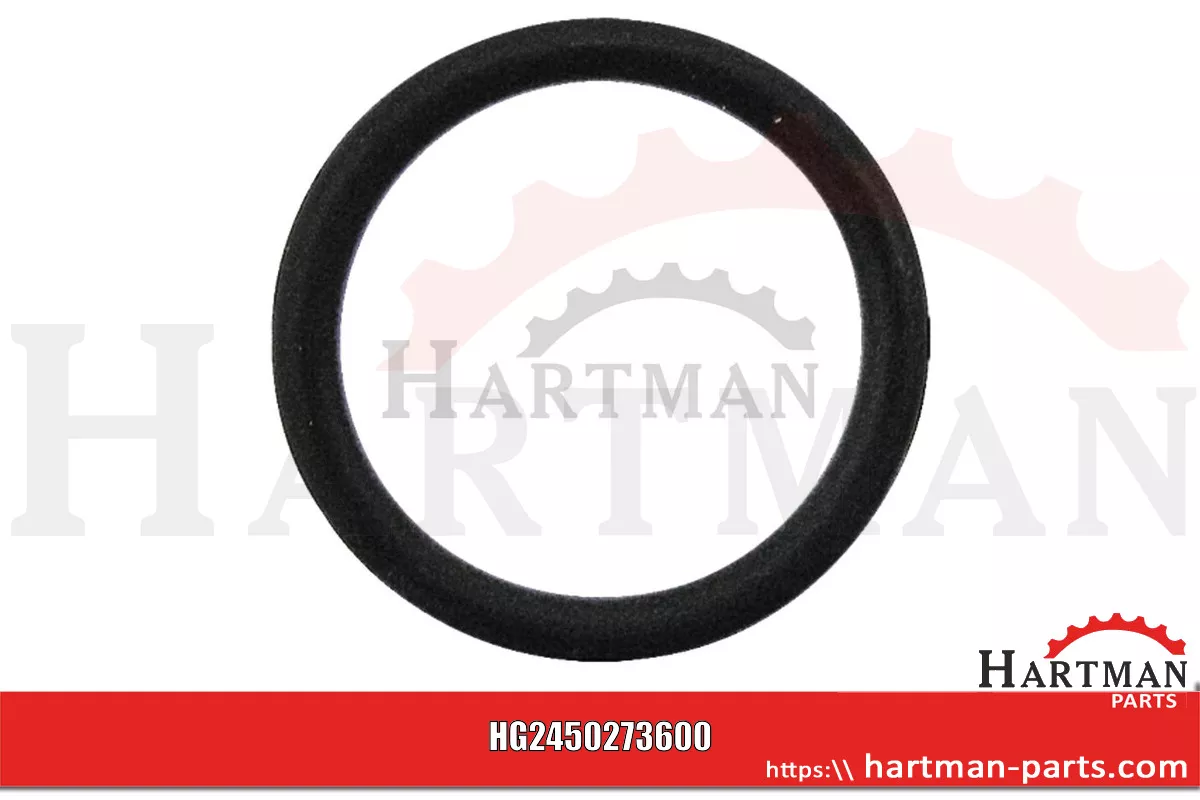 Oring 0273600