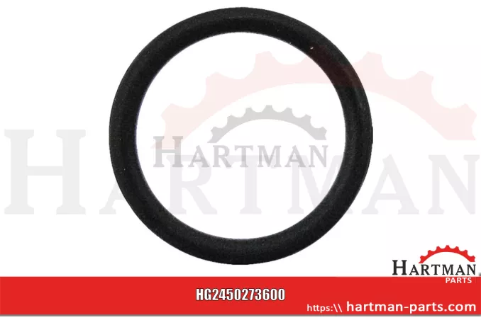Oring 0273600