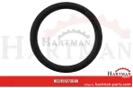 Oring 0273600