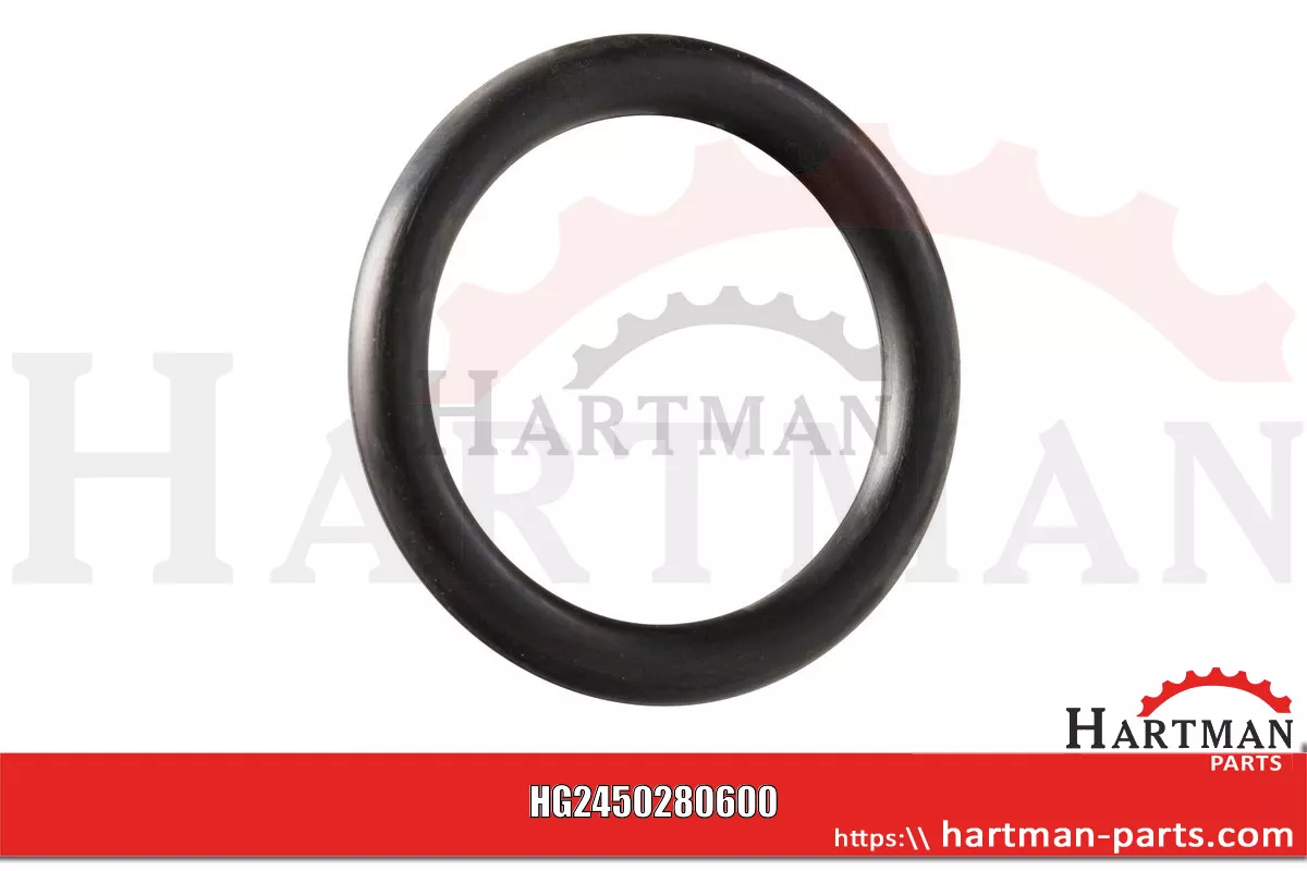 Oring 0280600