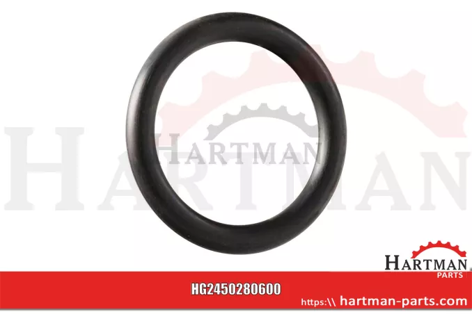 Oring 0280600