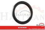 Oring 0280600