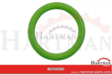 Oring RG00037618, 00037618