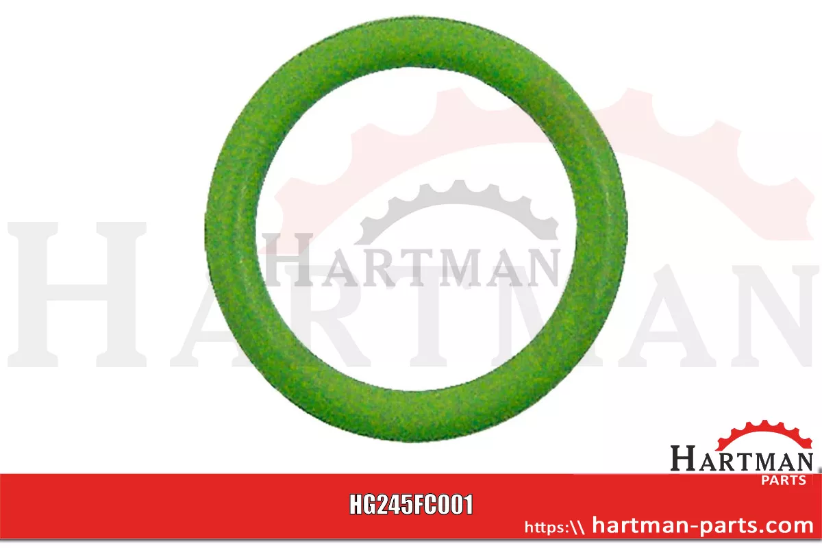 Oring RG00037618, 00037618