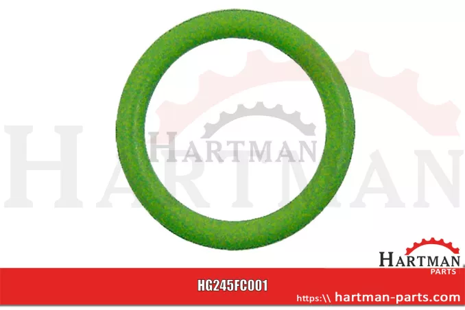 Oring RG00037618, 00037618