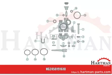 Oring RG00037618, 00037618