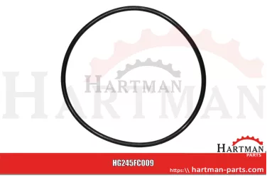 Oring RG00026014, 00026014