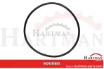Oring RG00026014, 00026014