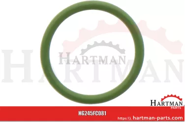 Oring FC081