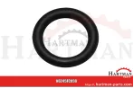 Oring 00002796, RG00002796