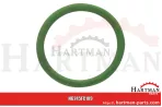 Oring FC109
