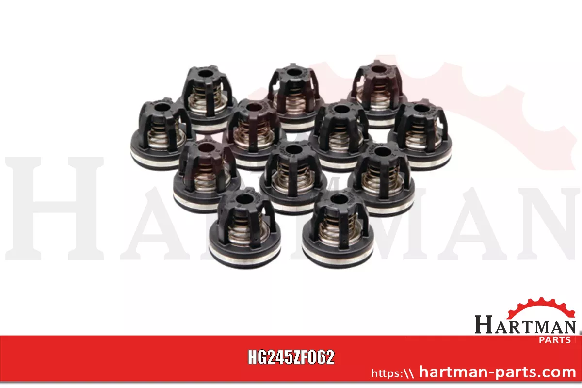 Zawór - zestaw do AR 250 BP i AR 280 BP ZF062