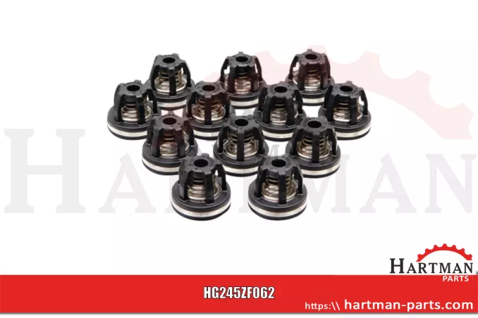 Zawór - zestaw do AR 250 BP i AR 280 BP ZF062