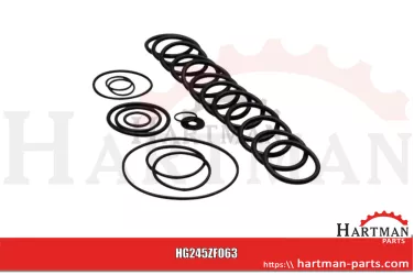 Zestaw uszczelek do AR 250 BP i AR 280 BP ZF063