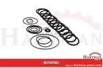 Zestaw uszczelek do AR 250 BP i AR 280 BP ZF063