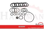 Zestaw uszczelek do AR 185BP ZF947