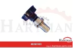 Adapter IBC, wersja krótka S60x6 ze złączem kłowym i króćcem do węża 3