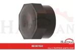 Zaślepka 571000003