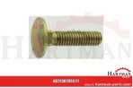 Śruba M6 x 25 DIN603-8.8 verzinkt B9901217