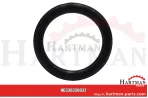 Oring 1090801