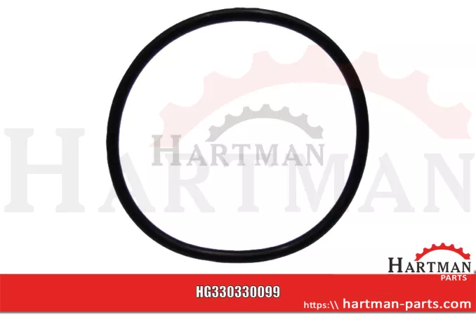 Oring 4020733
